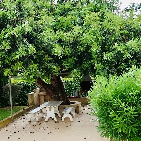 Apartment Paraiso De