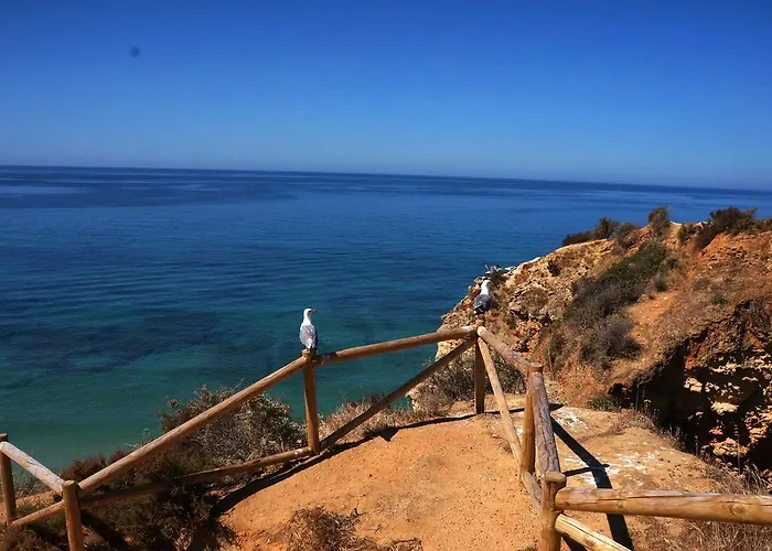 Paraiso De Portimão